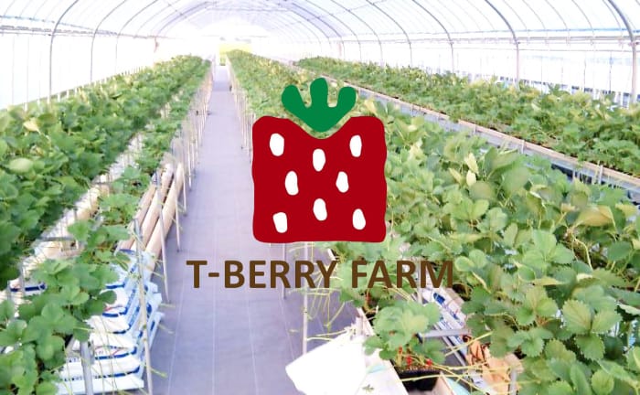 T-BERRY FARM